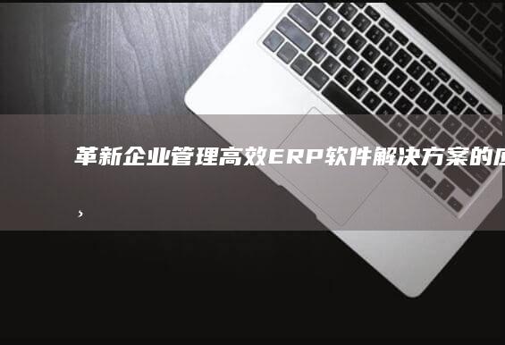 革新企业管理：高效ERP软件解决方案的应用与优势